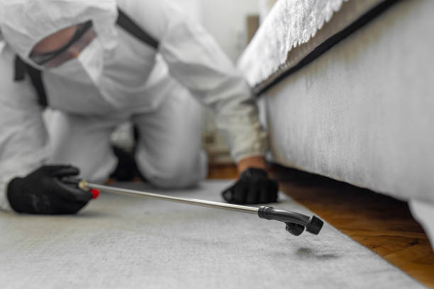 Professional Bed Bug Control technician working in Ruch, OR