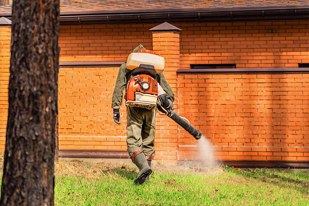 Top rated local Bed Bug Control specialists in Ruch, OR